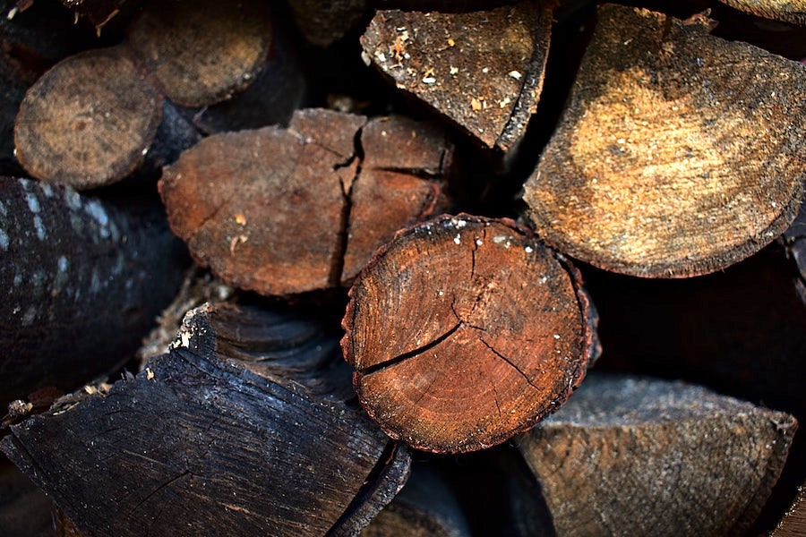 Does Firewood Go Bad What To Know Before You Burn Cut Stack Burn